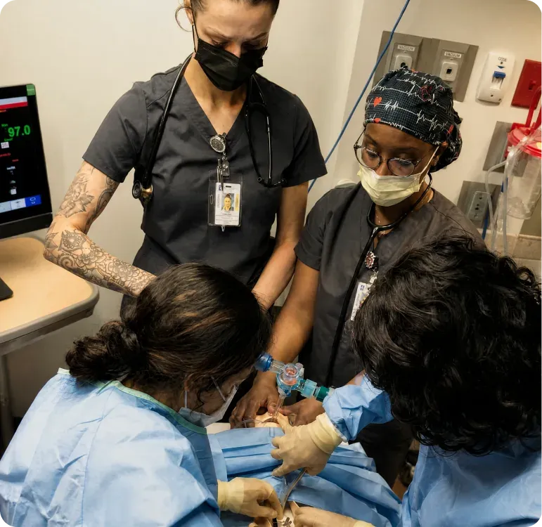 A Stepful College student practicing hands-on clinical skills
